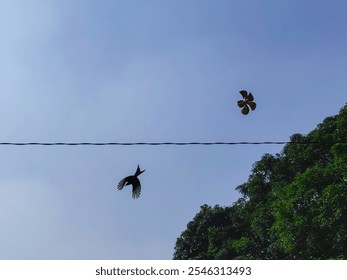 A bird soars gracefully against a clear blue sky, wings outstretched in motion. A spinning windmill-like object adds intrigue, while a utility wire and lush green trees complete the serene scene. - Powered by Shutterstock