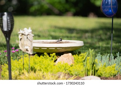 Bird Splashing Water In A Birdbath And Causing Rainbows In Bubbles.