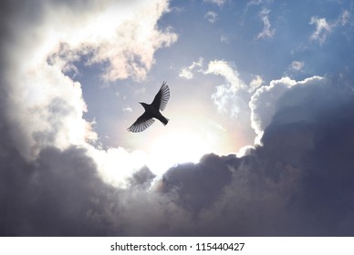 A bird spreading its wings to fly to heaven trough dramatic cloudscape. - Powered by Shutterstock