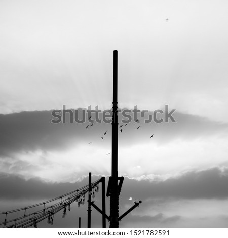 Similar – Image, Stock Photo Vineyard in the morning