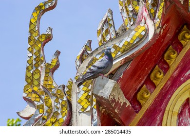 Bird and temple