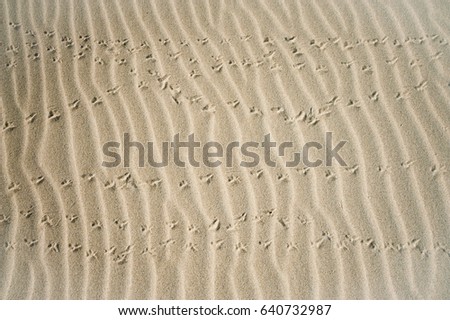 beach shapes Sand Beach