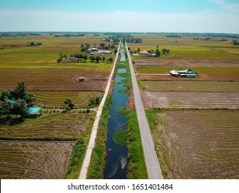 Bird View In Paddy Village Benda Sawah Padi Sungai Besar