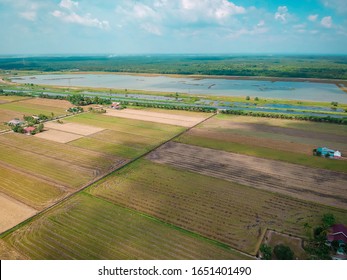 Bird View In Paddy Village Benda Sawah Padi Sungai Besar