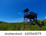 Bird viewer tower