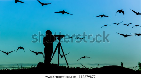 Bird Watcher\
Silhouette