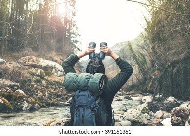 Bird Watching In The Forest