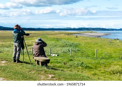 Bird Watching At At The Glan Y Mor Elias Nature Reserve At Llanfairfechan, Conwy County In North Wales, UK. Taken 31 August 2020