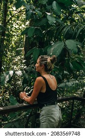 Bird Watching Tropical Forest In Panama