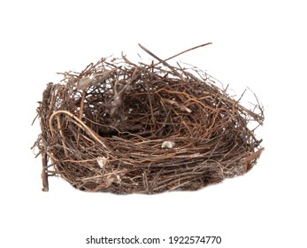 Leeres Nest Bilder Stockfotos Und Vektorgrafiken Shutterstock