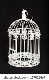 Birdcage