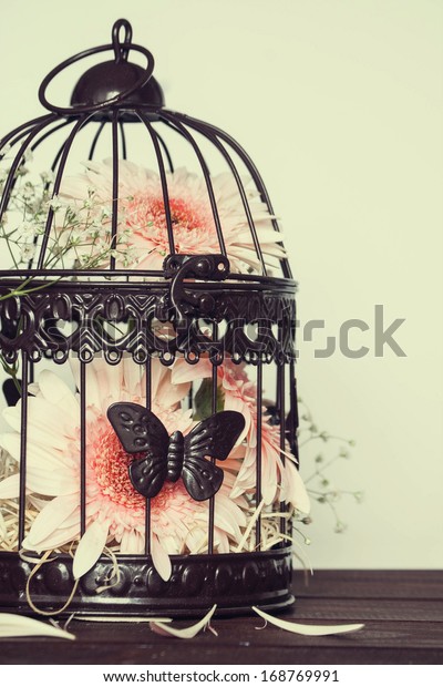 Birdcage Wedding Decoration Stock Photo Edit Now 168769991