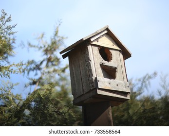 birdhouse