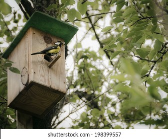 Birdhouse with bird - Powered by Shutterstock