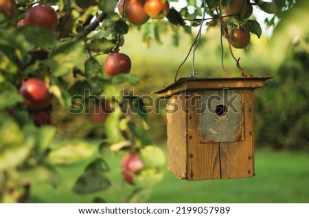 A birdhouse hanging from an apple tree. Wooden birdhouse with a hole hanging on a wire. Branch with beautiful red apples blurred in the front. Beautiful image of late summer garden. Green foliage.