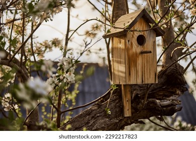 birdhouse hanging on a flowering apple tree - Powered by Shutterstock