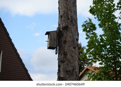 Birdhouse hanging on a tree trunk. A nest box, nestbox, birdhouses or a birdbox, bird box, is a man-made enclosure provided for animals to nest in. Berlin, Germany