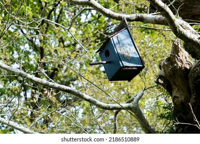 Birdhouse With A Heart On A Tree