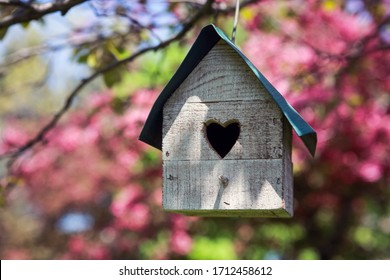 Birdhouse With Heart Shaped Opening  Hanging In An Apple Tree In The Spring