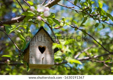 Birdhouse with heart shaped opening  hanging in an apple tree in the spring
