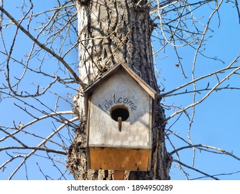 Birdhouse With  Inscription Welcome To Poplar With Bare Branches Swollen Buds,  Spring Time