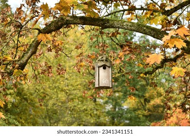 Birdhouse with the nummer 40 in a park