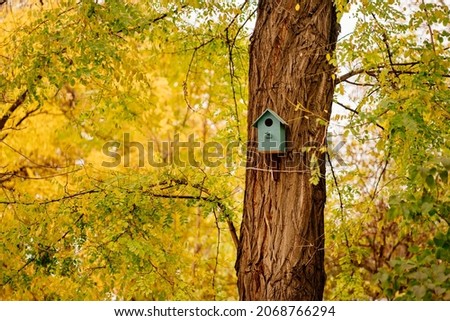 birdhouse on an autumn tree. the beauty of nature and the care of birds. crafts with children.