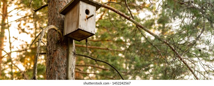 Birdhouse on a pine in the forest. Simple birdhouse design. Shelter for bird breeding