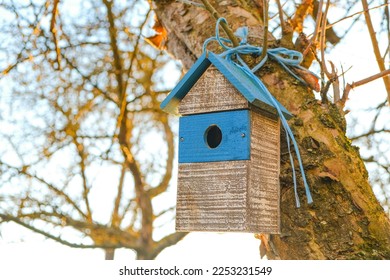 Birdhouse on a tree close-up. Wooden white blue birdhouse on a tree in a sunny spring park.House for birds. Bird care