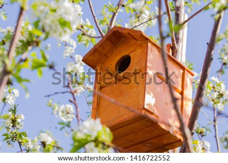 
Birdhouse on a tree in the garden