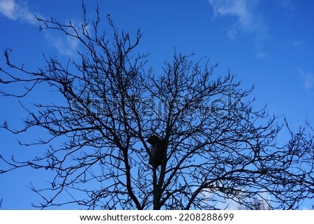 Similar – Image, Stock Photo alone Tree Man Winter