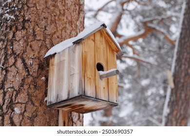 Birdhouse on the trunk of a tall pine tree under the snow, winter, forest, nature - Powered by Shutterstock