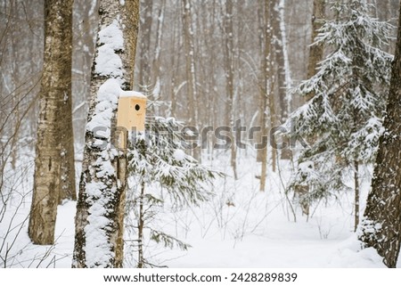 birdhouse on winter snow trees forest background. Snowy forest wallpaper background. High quality photo