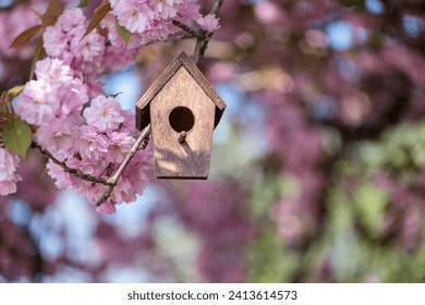 Birdhouse in spring with blooming sakura tree - Powered by Shutterstock
