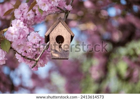 Birdhouse in spring with blooming sakura tree