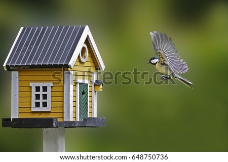 birdhouse and tit Сток-фото © 