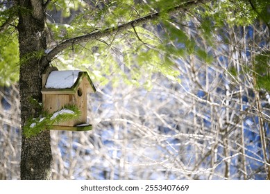 birdhouse in winter tree sight - Powered by Shutterstock