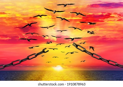 Birds breaking the chain fly to beautiful sunrise. Seagull free flock flying over the sea towards the shining sun on horizon. Chain links are torn. Freedom concept 