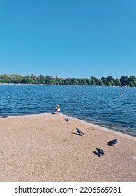 Birds By The Lake Edge 