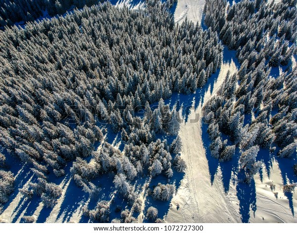 Bird's eye,
aerial view of forest covered with
snow