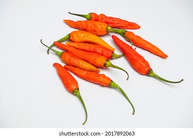 Rawit Images Stock Photos Vectors Shutterstock<script async src=