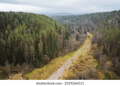 From a birds eye perspective, a winding dirt road gracefully meanders through a vibrant, colorful forest, surrounded by towering trees, diverse flora, and lush vegetation that flourishes all around - Powered by Shutterstock