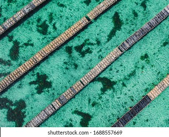 A birds eye view of the amazing, turquoise water and rows of an oyster farm in Coffin Bay, Eyre Peninsula, South Australia.