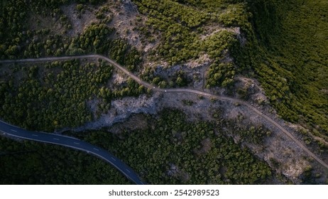 Bird's eye view of a curving mountain road surrounded by lush green forest, showcasing nature's contrast between rugged terrain and smooth asphalt. - Powered by Shutterstock