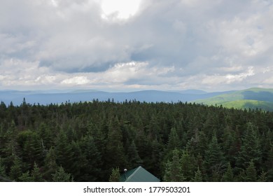 A birds eye view of a forest - Shutterstock ID 1779503201