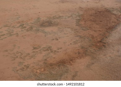 Bird's Eye View Of Lone Ostrich Walking Through The Namibian Desert