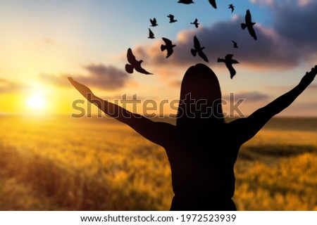 Birds fly into the woman's hands against the background of a sunny sunset.