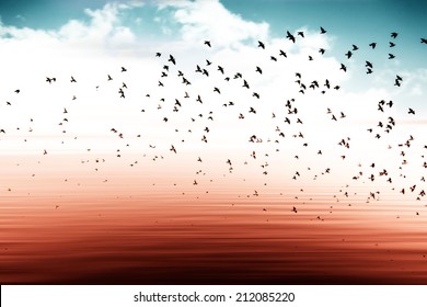 birds flying and abstract sky ,spring background abstract happy background,freedom concept 