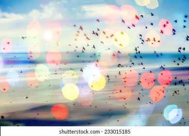 Birds Flying And Abstract Sky ,spring Background Abstract Happy Background,freedom Concept