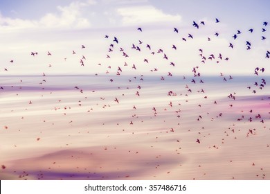 birds flying and abstract sky ,spring background abstract happy background,freedom birds concept,symbol of liberty and freedom - Shutterstock ID 357486716
